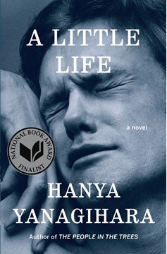 A Little Life (Hardcover Book)