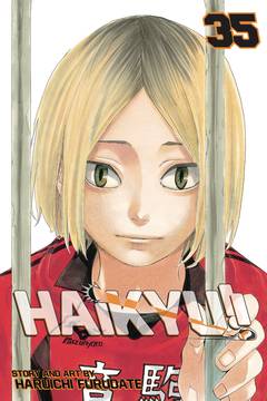 Haikyu Manga Volume 35