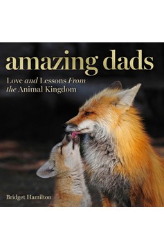 Amazing Dads (Hardcover Book)