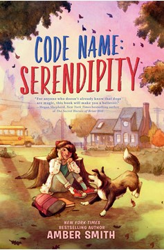 Code Name: Serendipity (Hardcover Book)