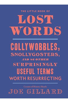 The Little Book Of Lost Words (Hardcover Book)