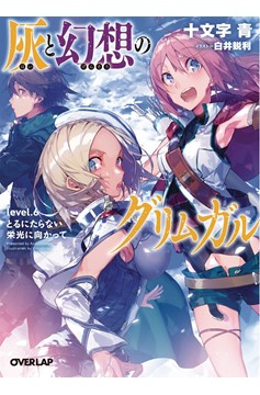 Grimgar of Fantasy & Ash Light Novel Volume 6