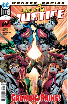Young Justice #17