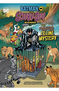 Batman Scooby Doo Mysteries #7 Frenzied Feline Mystery