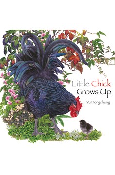 Little Chick Grows Up (Hardcover Book)