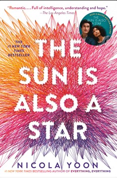 The Sun Is Also A Star (Hardcover Book)