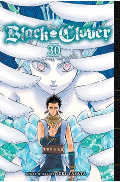 Black Clover Manga Volume 30