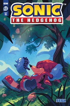 Sonic the Hedgehog #62 Cover C 1 for 10 Incentive Fourdraine
