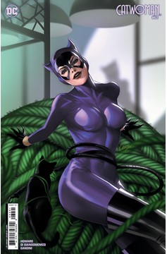Catwoman #62 Cover D 1 for 25 Incentive Lesley Leirix Li Card Stock Variant