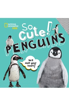 So Cute! Penguins (Hardcover Book)