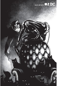 Batman Black And White #2 Cover C Kamome Shirahama Catwoman Variant (Of 6)