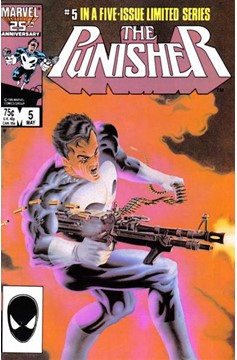 The Punisher #5 [Direct]-Very Good (3.5 – 5)