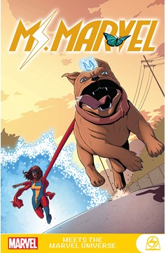 Ms Marvel Meets Marvel Universe Graphic Novel