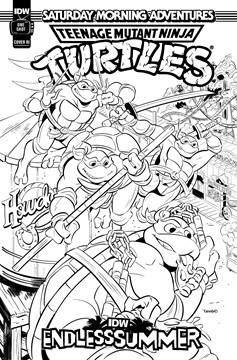IDW Endless Summer—Teenage Mutant Ninja Turtles Saturday Morning Adventures Cover Retailer Incentive Coloring Book 1 for 10 Incentive