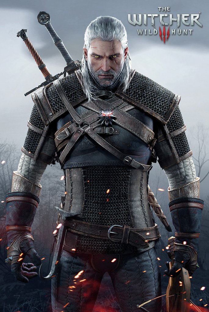 The Witcher Poster