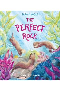 The Perfect Rock (Hardcover Book)