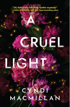 A Cruel Light (Hardcover Book)