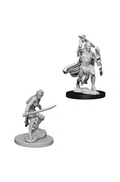 Dungeons & Dragons Nolzur`s Marvelous Unpainted Miniatures: Female Elf Fighter