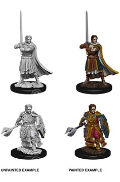 Dnd Unpainted Minis Wv8 Male Human Cleric
