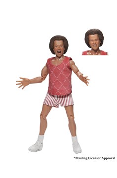 Richard Simmons 8 Inch Clothed Action Figure