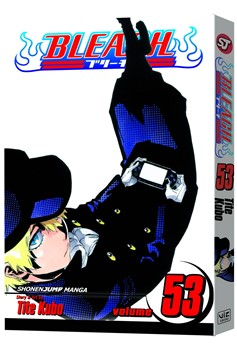 Bleach Manga Volume 53