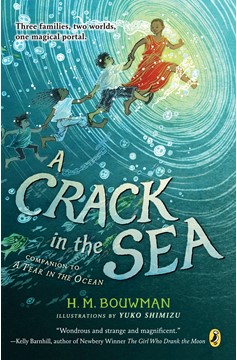 A Crack In The Sea