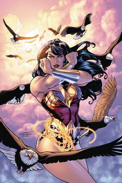 Wonder Woman Who Is Wonder Woman Graphic Novel New Edition