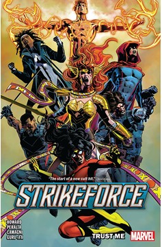 Strikeforce Graphic Novel Volume 1
