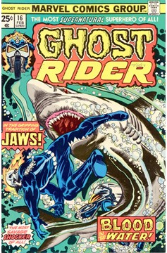 Ghost Rider #16 [Regular Edition]