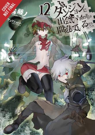 Is it Wrong to Pick Up Girls in a Dungeon Light Novel Volume 12