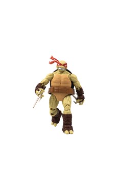 Teenage Mutant Ninja Turtles Raphael V2 IDW Comic Book & Bst Axn 5in Action Figure