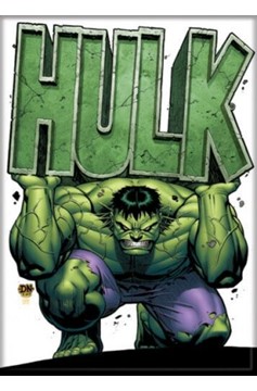 Hulk Holding Name Magnet