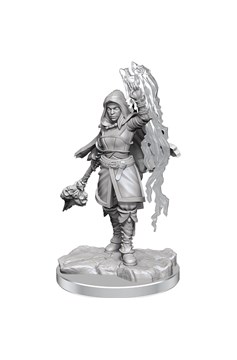 Dungeons & Dragons Nolzurs Marvelous Minis Half Elf Warlock