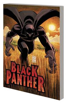 Black Panther Graphic Novel Who Is Black Panther New Printing