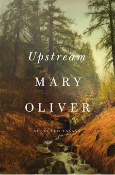 Upstream (Hardcover Book)