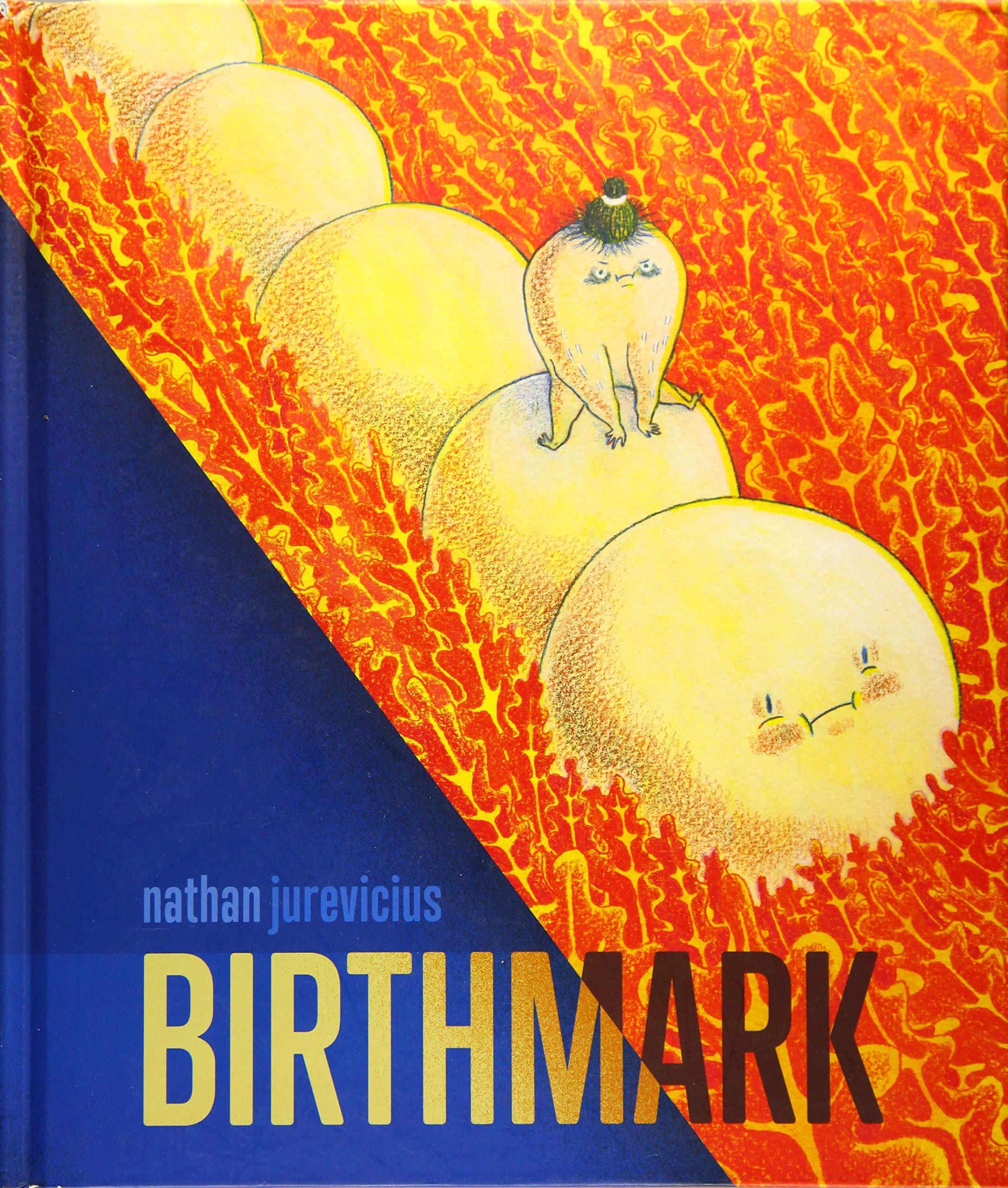 Birthmark Hardcover