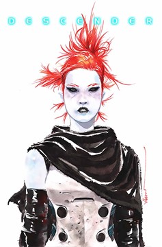 Descender #13