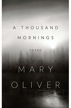 A Thousand Mornings (Hardcover Book)