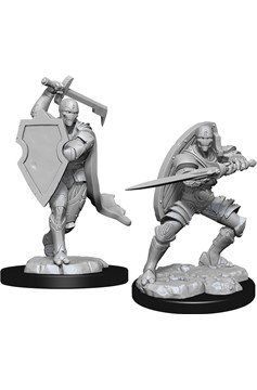 Dungeons & Dragons - Nolzur`s Marvelous Unpainted Miniatures: Wave 13 Warforged Fighter Male