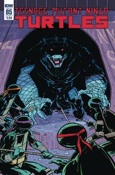 Teenage Mutant Ninja Turtles Ongoing #85 Cover A Revel (2011)