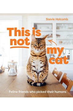 This Is Not My Cat (Hardcover Book)