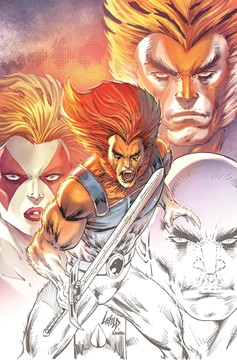 Thundercats #1 2nd Printing Cover B 1 for 10 Incentive Liefeld Virgin