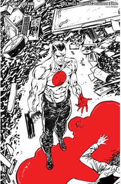 Black White & Bloodshot #2 Cover E Seeley Virgin (Mature) (Of 4)