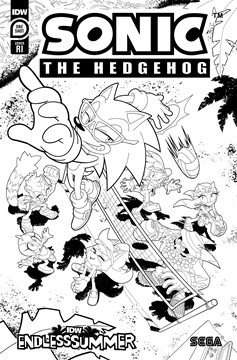 IDW Endless Summer—Sonic the Hedgehog Cover Retailer Incentive Coloring Book 1 for 10 Incentive