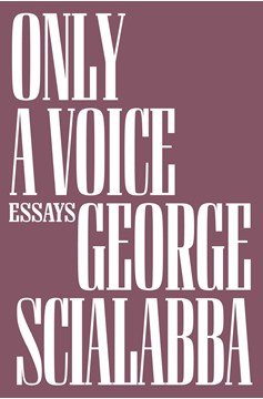 Only A Voice (Hardcover Book)