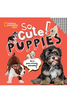 So Cute! Puppies (Hardcover Book)