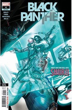 Black Panther #4 2nd Printing Alex Ross Variant (2022)