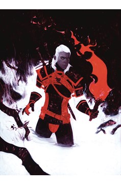 Witcher Fading Memories #4 Jeremy Wilson Variant Edition (Of 4)