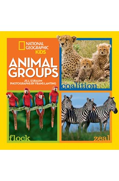 Animal Groups (Hardcover Book)