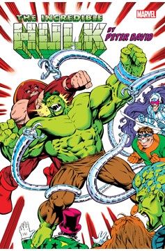 Incredible Hulk by Peter David Omnibus Hardcover Volume 3 Frank Hulk Vs Direct Market Variant